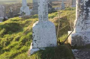 Gleeson Patrick Middletown